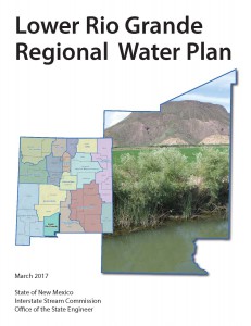 Reg11_LowerRioGrande_RegionalWaterPlan2017