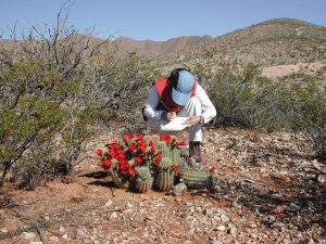 Natural Resources Environmental Impact Studies