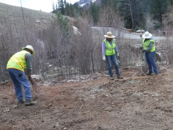 Statewide As-Needed Environmental Compliance Services – New Mexico Energy, Minerals and Natural Resources Department, Mining and Minerals Division Natural Resources revegetation