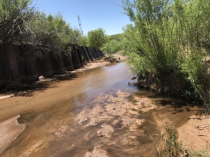 IMG_9922 clean water act compliance