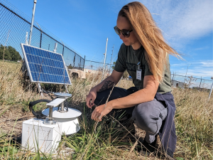 Carbon Capture and Storage, Carbon Capture and Sequestration